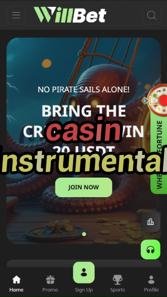 casin instrumental-asdasdzhjkds.com